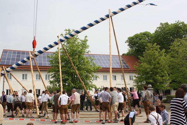 Maibaum 2013